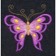 Design: Animals>Insects>Butterflies - Scalloped winged butterfly