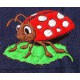 Design: Animals>Insects>Bugs - Ladybird on leaf