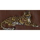 Design: Animals>Wild Animals - Leopard