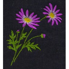 Design: Nature>Flowers>Daisies - Daisies duet