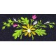 Design: Nature>Flowers>Daisies - Daisy flower frame