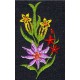 Design: Nature>Flowers>Lilies - Exotic flower