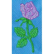 Design: Nature>Flowers>Roses - Single rose