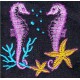Design: Marine life>Seahorses - Two seahorses
