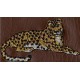 Product: Patches (Leopard)